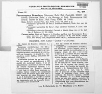 Image Associated With the Occurence
